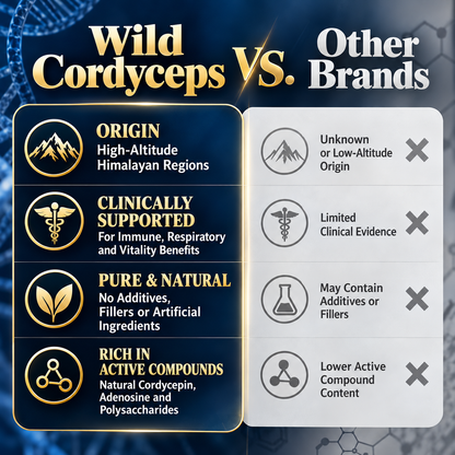 WILD CORDYCEPS