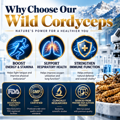 WILD CORDYCEPS